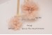 Lace Petals Flower, Small (6cm), Pack of 3
