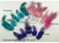 Loose Feather, GUINEA (Pack of 5)