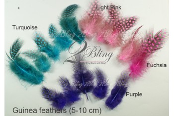 Loose Feather, GUINEA (Pack of 5)