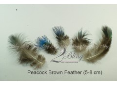 Loose Feather, PEACOCK (Pack of 5)