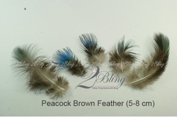 Loose Feather, PEACOCK (Pack of 5)